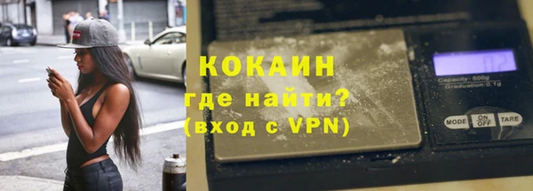 хмурый Алзамай