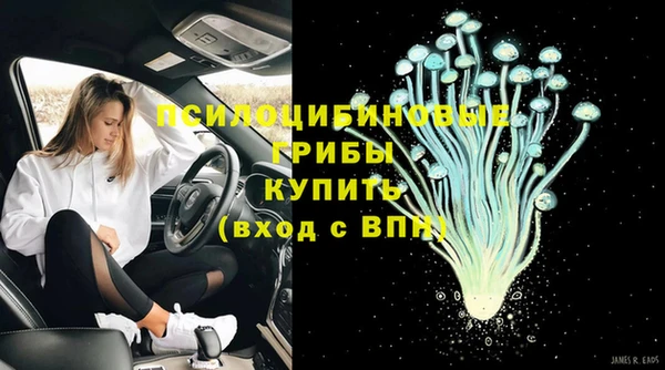 эйфоретик Аркадак