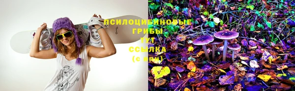 эйфоретик Аркадак