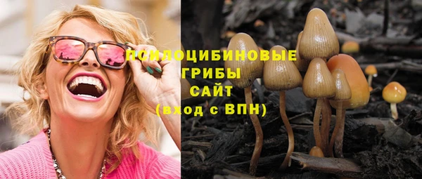 каннабис Арсеньев