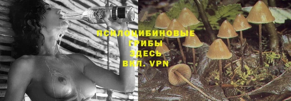 амф Армянск