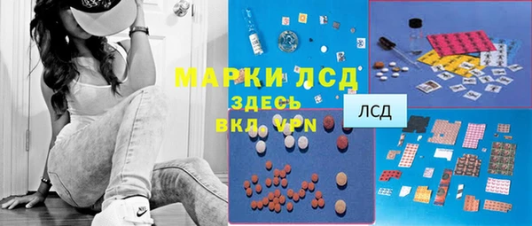 эйфоретик Аркадак